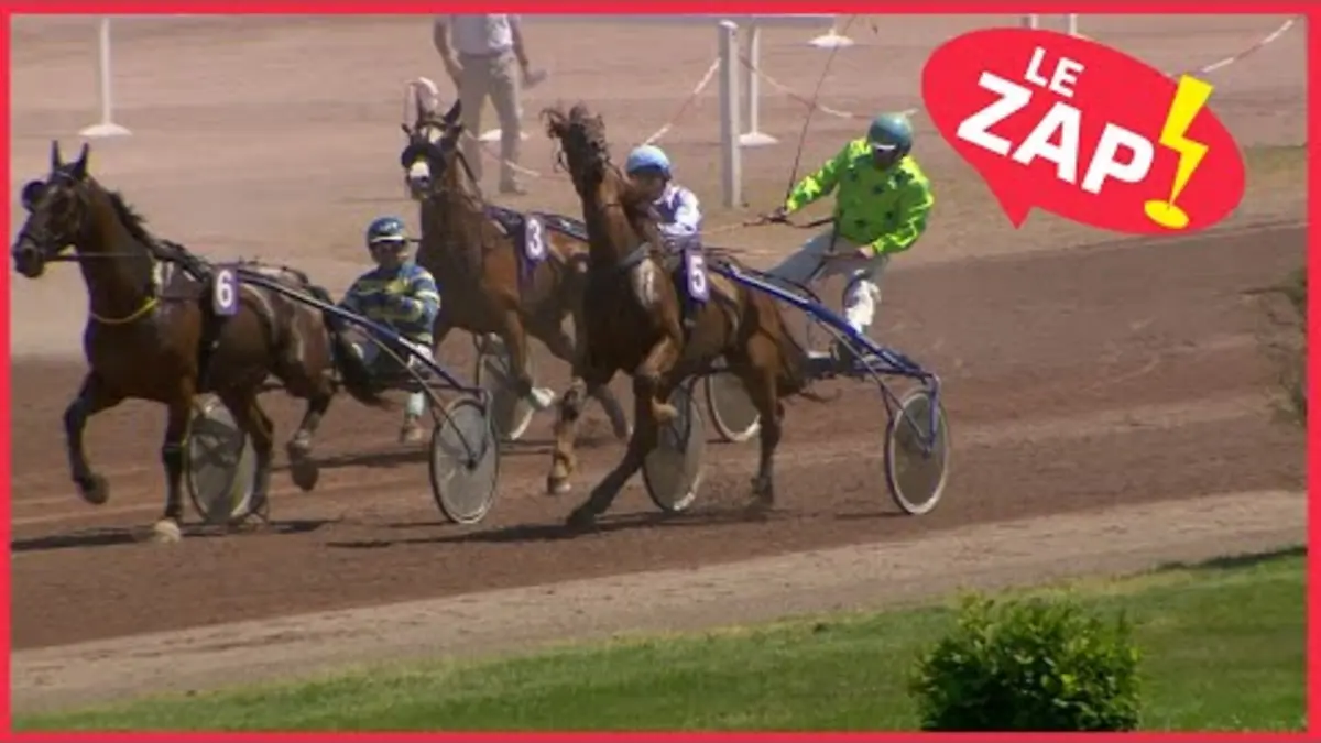 replay de Acrobatie au sulky ! | Le Zap de juin 2023