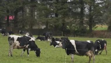 Agriculteurs : l'espoir est dans le pré