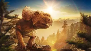 Albie, le tout-petit