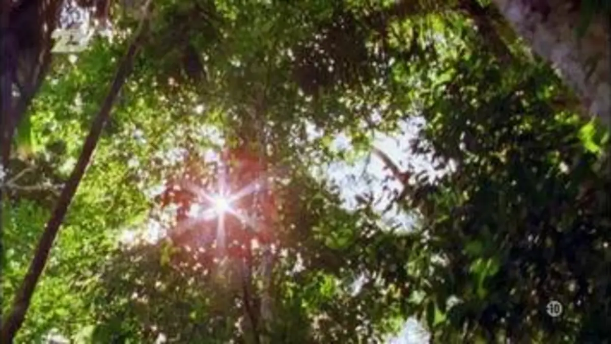 replay de Alien theory - S6E13 - VF - Replay