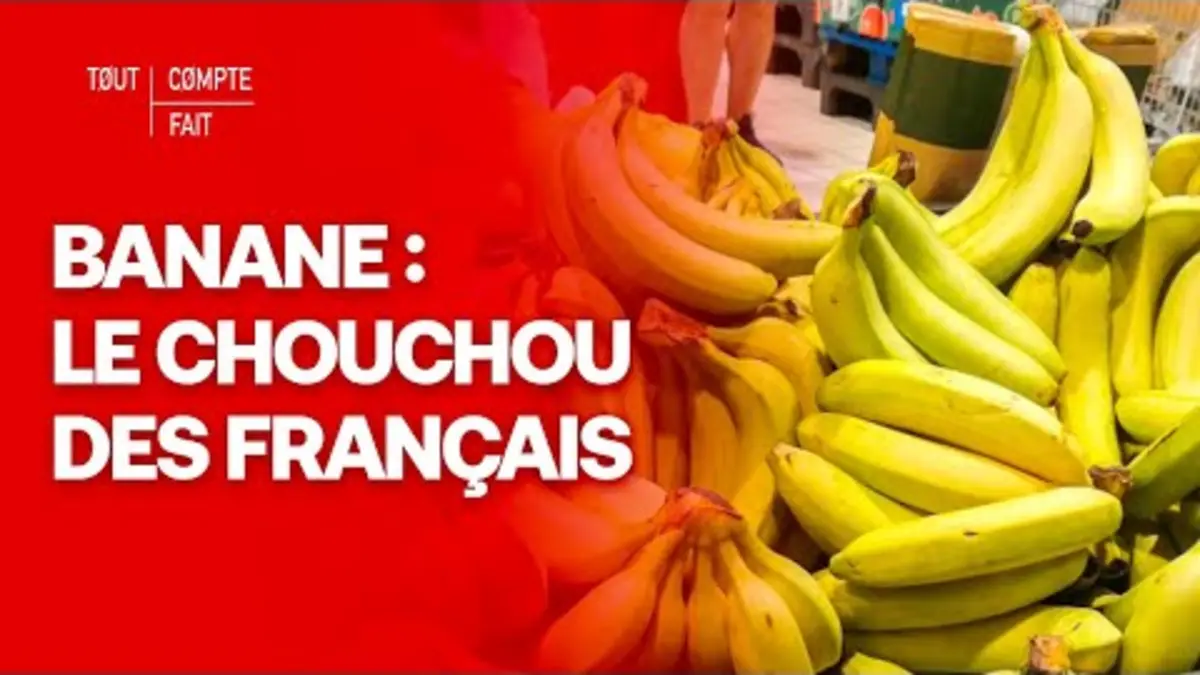 replay de Alimentation : pourquoi la banane est le deuxième fruit préféré des Français ? - Tout compte fait