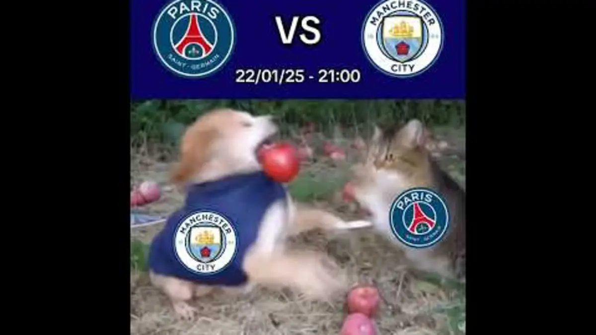 replay de All or nothing! ? ? Thanks to #UCL #ChampionsLeague #Ligue1 #DankMeme #PSG