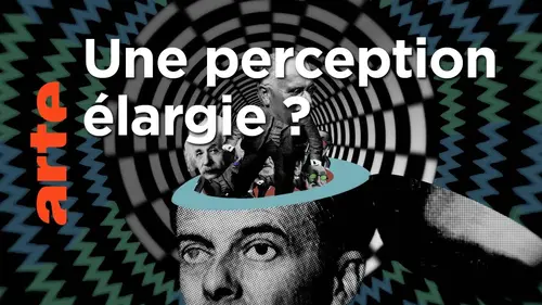 replay de Allons-nous prendre plus de drogues ? | 42, la réponse à presque tout | ARTE