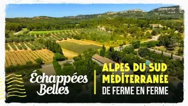 Alpes du Sud - Méditerranée, de ferme en ferme