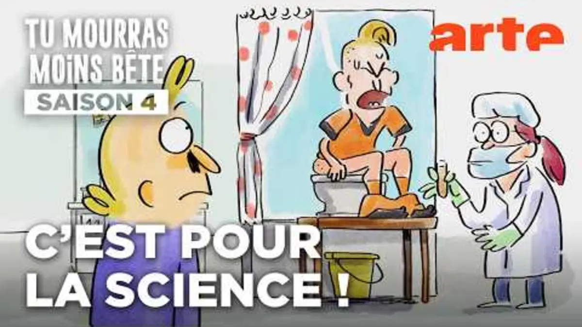 replay de Anatomie d'une chute… dans le foot | Tu mourras moins bête | ARTE