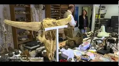 Angoulême, au-delà de l'image - Itinéraires Bis