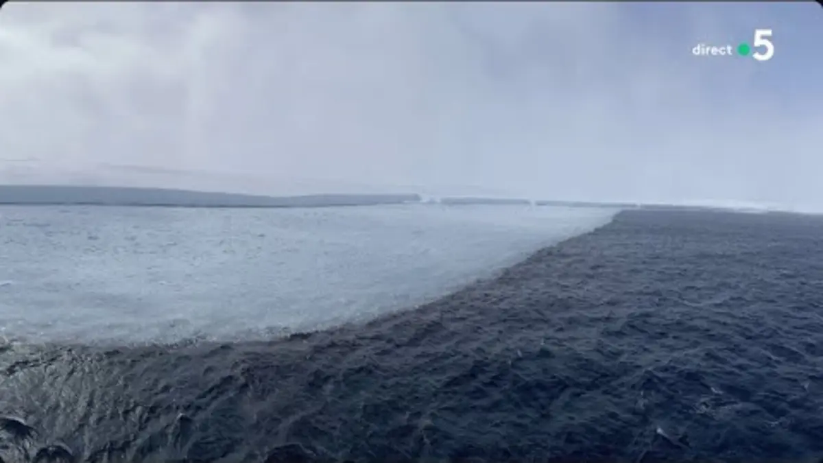 replay de Antarctique : le plus gros iceberg du monde à la dérive - La Story - C à Vous - 28/11/2023
