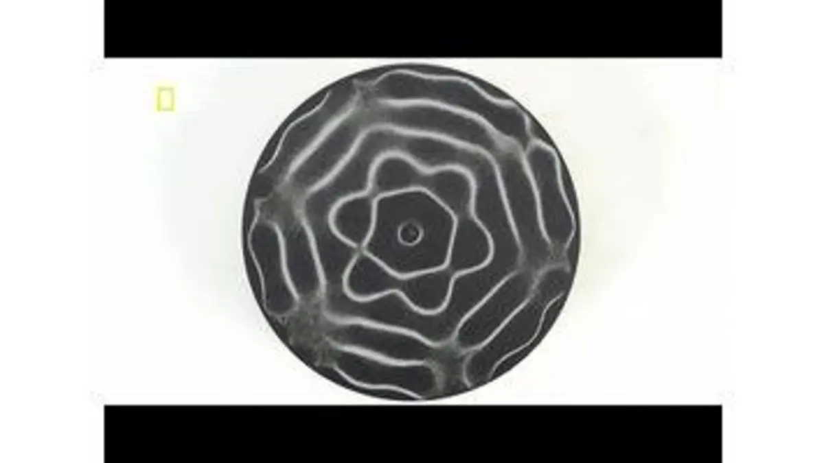 replay de Apprenez à observer le son