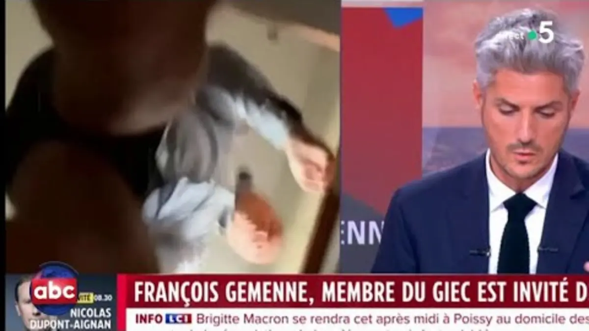 replay de Après la Terre vue du ciel… le slipou vu d’en bas - L’ABC - C à Vous - 07/09/2023