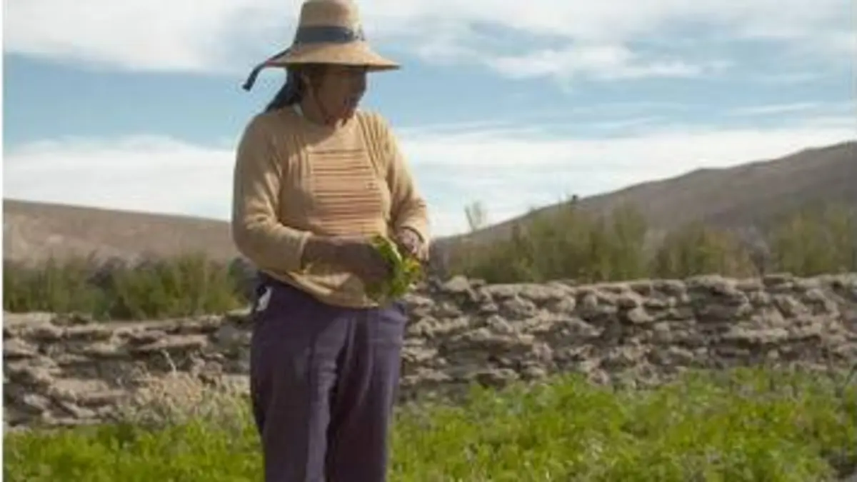 replay de Argentine - Les Indiennes de la cordillère des Andes
