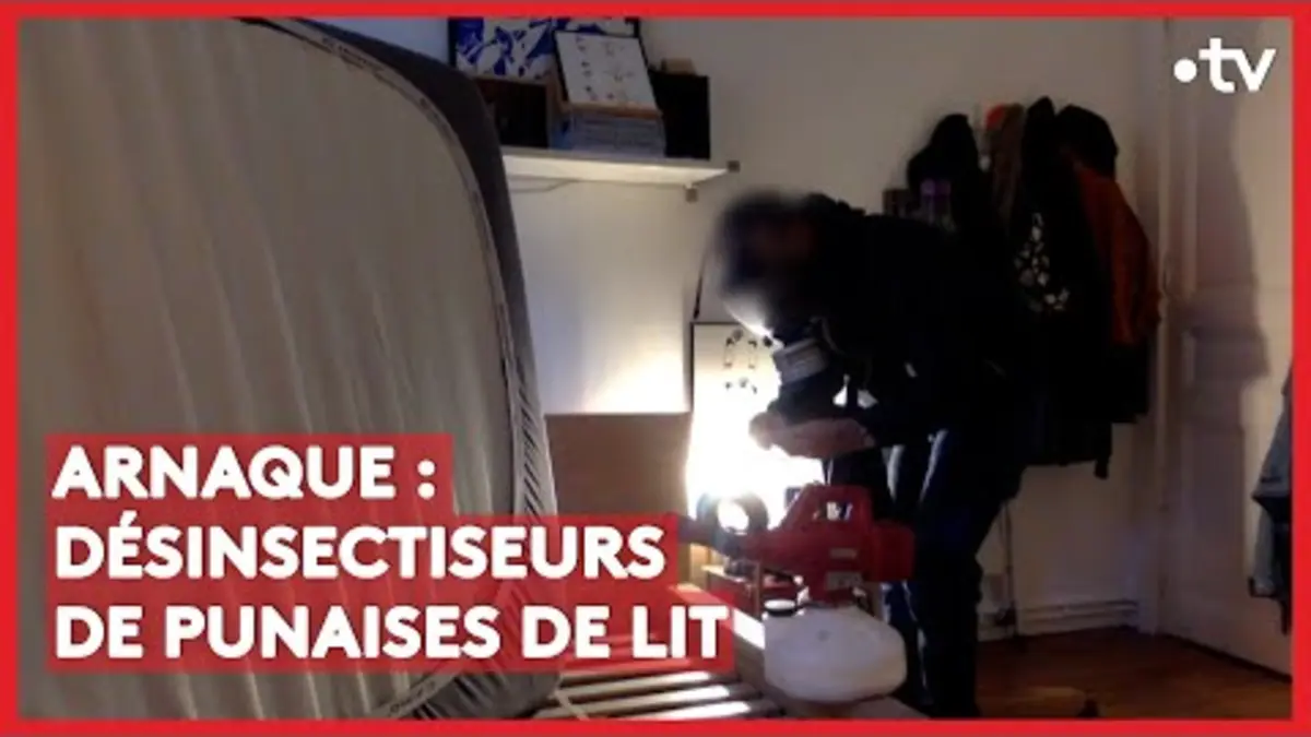 replay de Arnaque : ce désinsectiseur sort une punaise de lit de sa poche