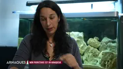 Arnaques ! : Spéciale guerre des voisins (2/2)