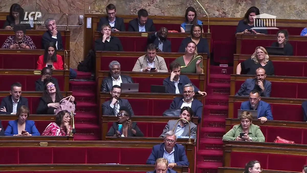 replay de Assemblée nationale, anatomie d'une crise