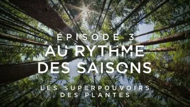 Au rythme des saisons