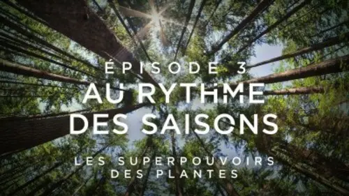 Les superpouvoirs des plantes Au rythme des saisons
