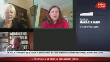 Audition de la ministre Roxana Maracineanu (08/05/2020)