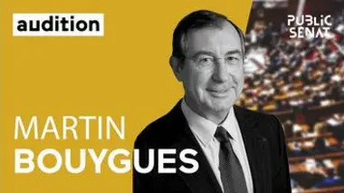 Audition de Martin Bouygues sur la 5G - Les matins du Sénat (10/06/2020)