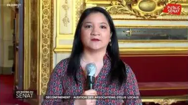 Audition des élus locaux puis de Martin Hirsch, DG de l'APHP - Les matins du Sénat (13/05/2020)
