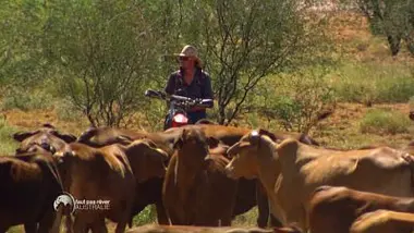 Australie : western aux antipodes - Faut pas rêver du 31/07/2015