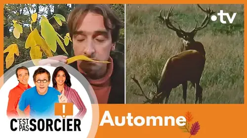 replay de Automne - C'est pas sorcier [Intégrale]