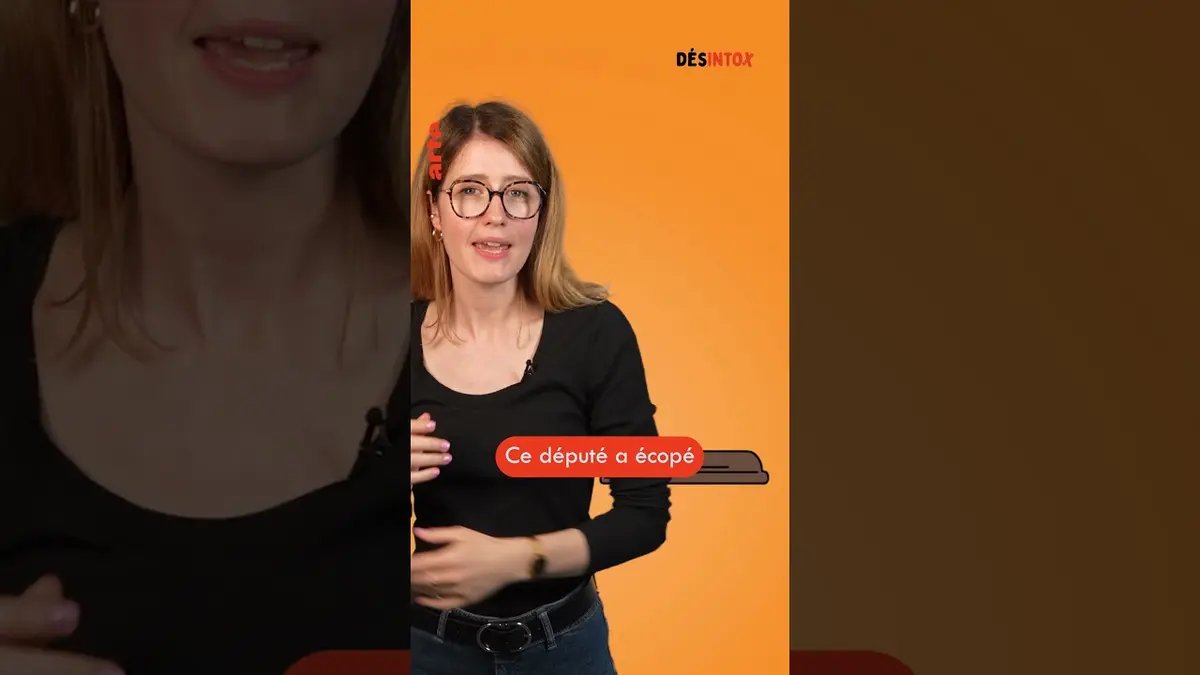 replay de Aux européennes, une consigne de dessiner sur les bulletins ? #désintox