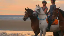 Au galop ! Balade à la plage