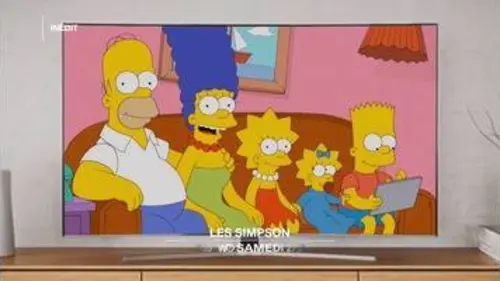 replay de Bandes-Annonces W9 : Les Simpson reviennent sur W9 avec des saisons inédites