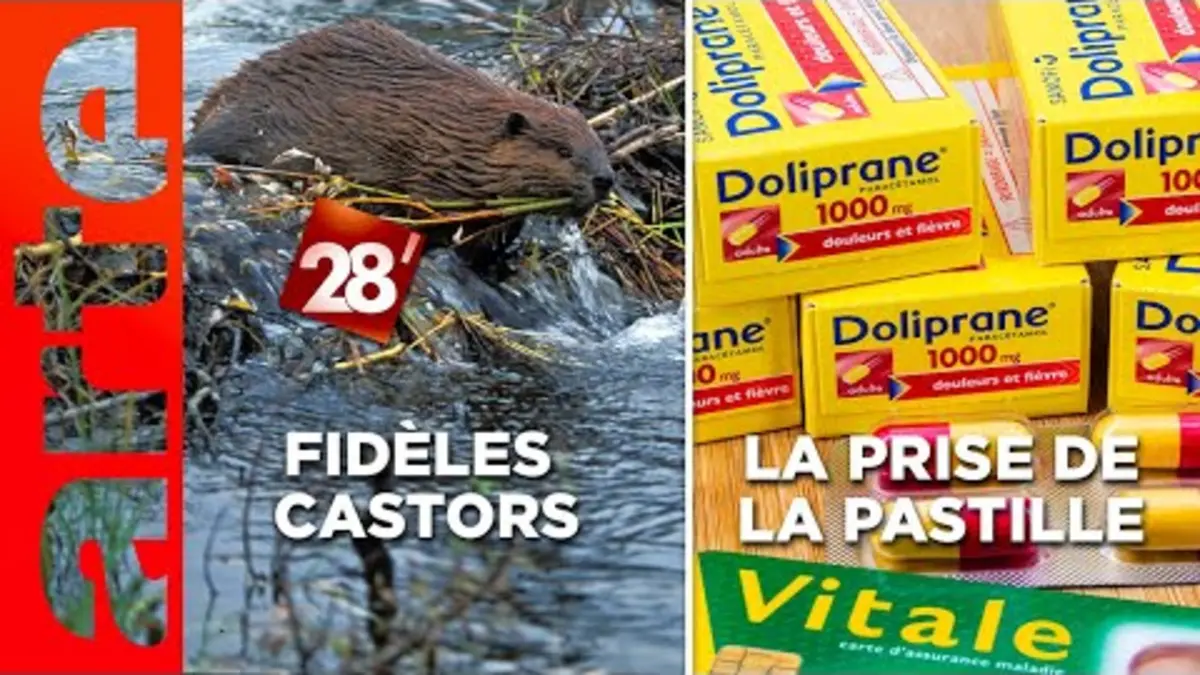 replay de Baptiste Morizot / Doliprane cédé aux Américains : une pilule dure à avaler ? | 28 minutes | ARTE