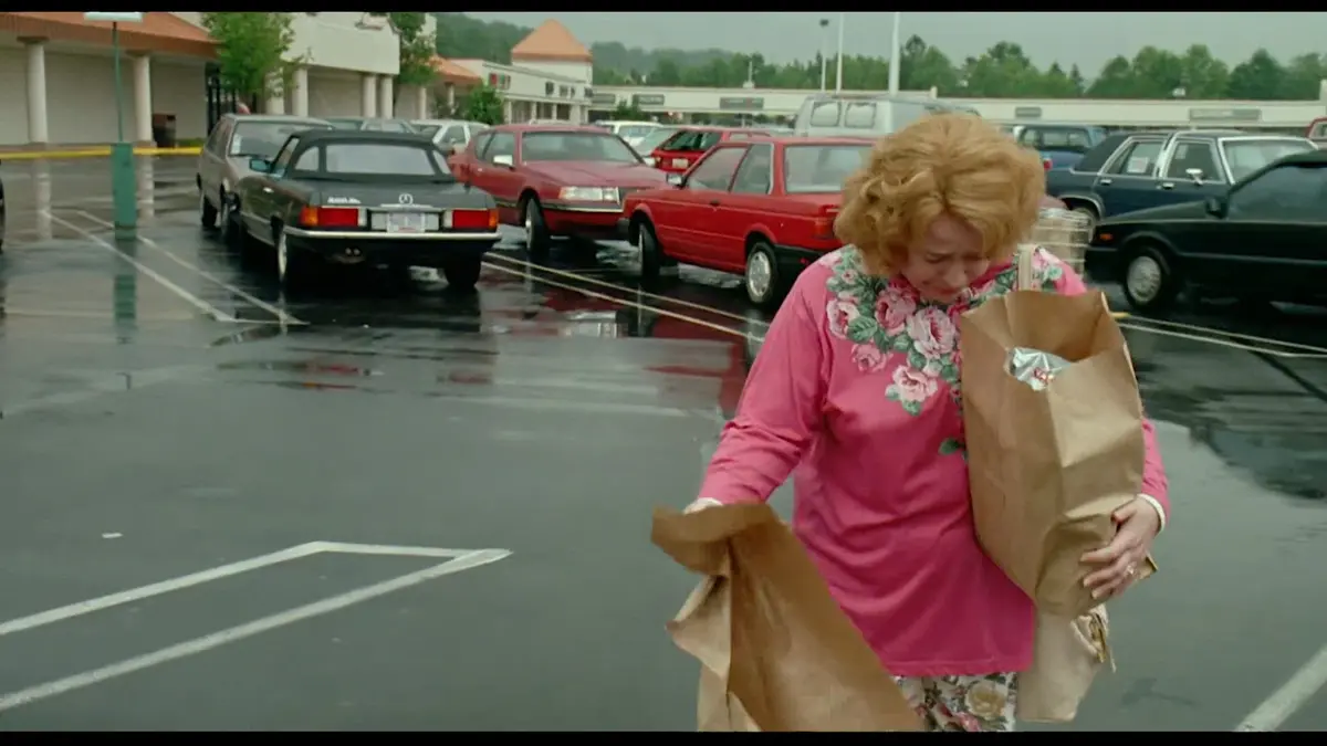 replay de Beignets de tomates vertes : Beignets de tomates vertes