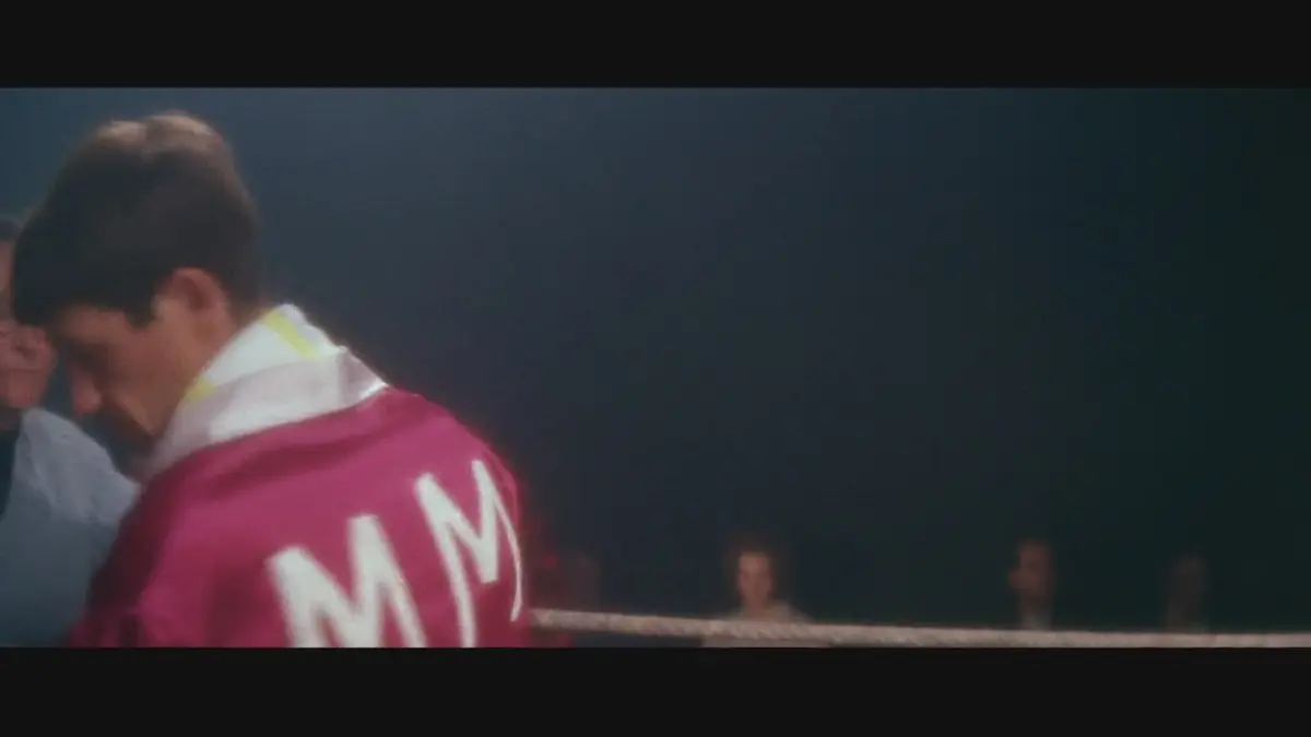 replay de Belmondo l'incorrigible : Belmondo l'incorrigible