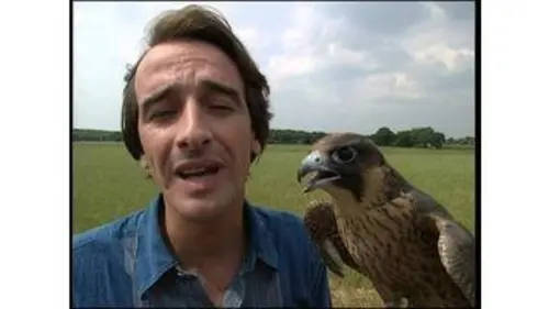 replay de BETISIER - C'est Pas Sorcier