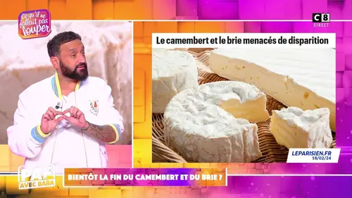 replay de Bientôt la fin du camembert et du brie ?