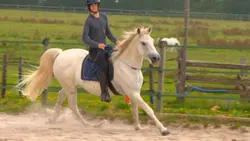 Bienvenue au centre équestre !