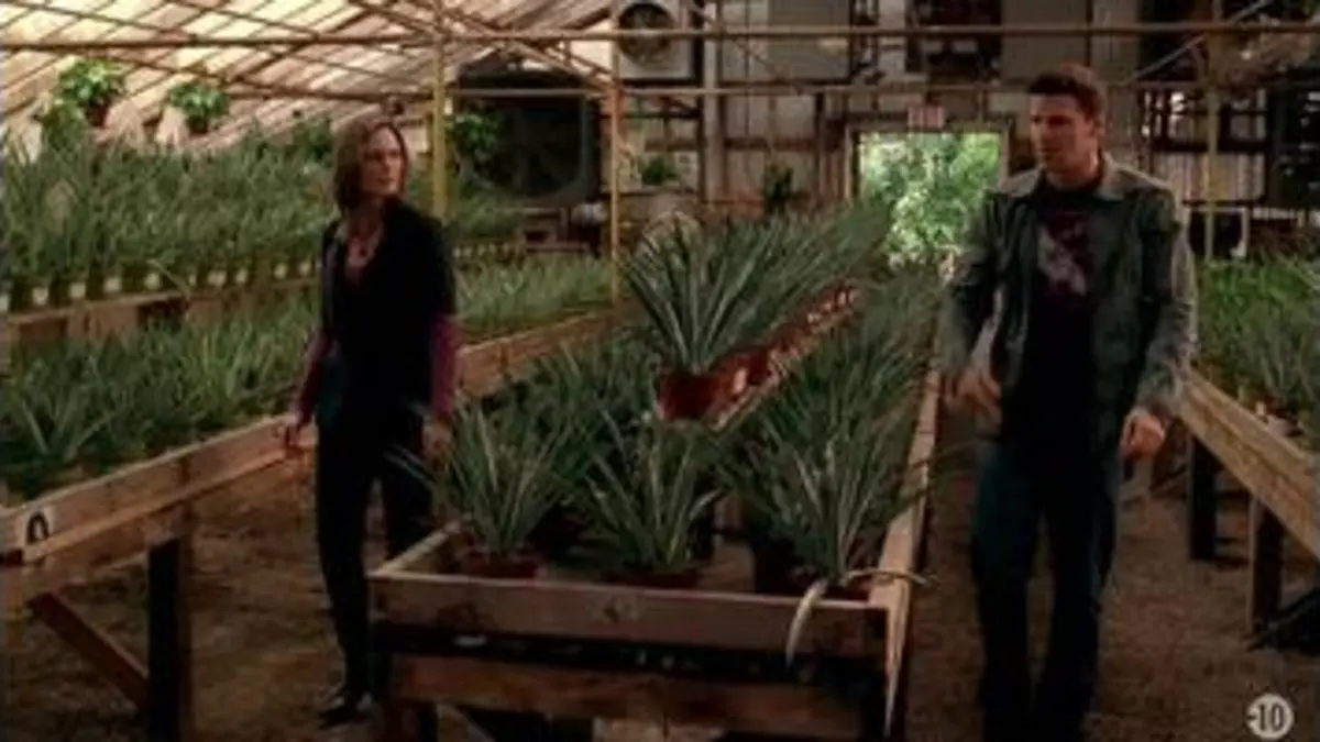 replay de Bones : Saison 3 épisode 4