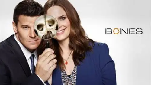 replay de Bones : Saison 5 Episode 13