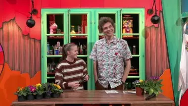 Bonjour les hirondelles