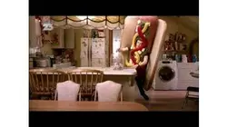 Bonus - Shameless : La façon de vivre des Gallagher