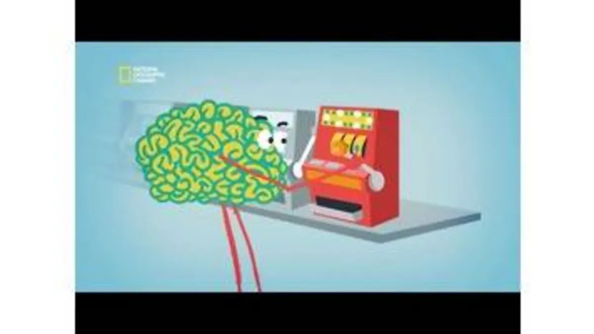 replay de Boucles de renforcement