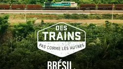 Brésil, de l'Amazonie aux plages infinies