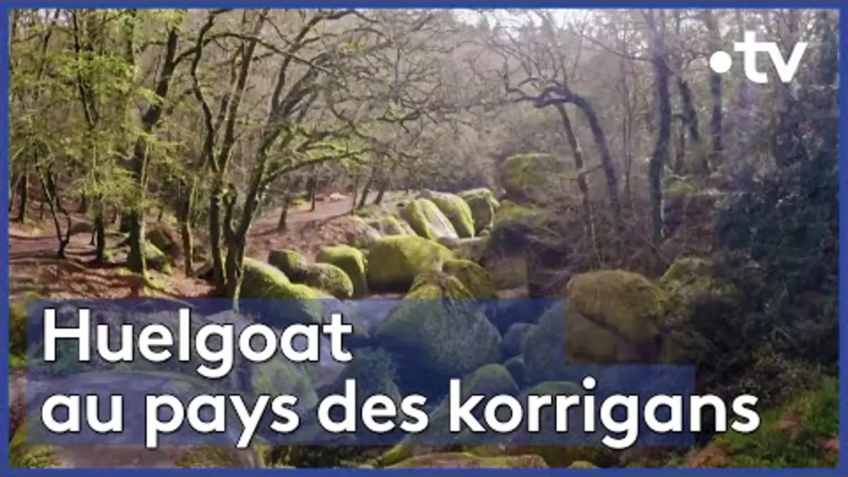 replay de Bretagne : la forêt des korrigans