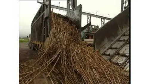 replay de C'est pas sorcier -CANNE A SUCRE