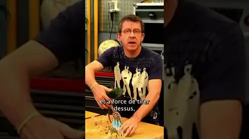 replay de C'est quoi la théorie de l'Évolution ?