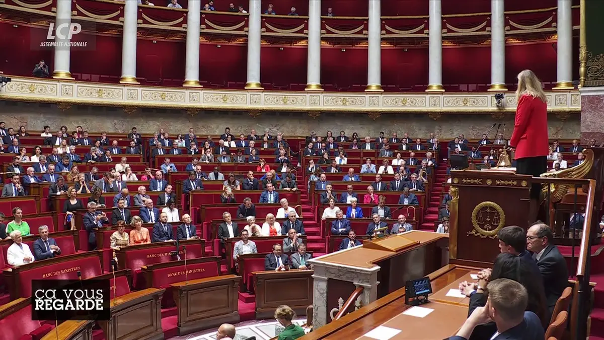 replay de Ça vous regarde - Eurodéputés RN : le procès d'un système