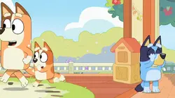 Bluey S01E42 Cache-cache