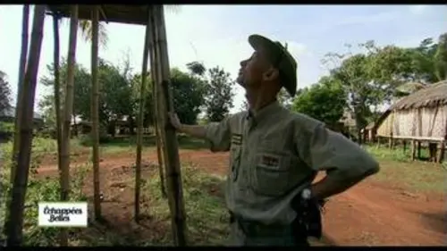 replay de Cambodge - Echappées belles