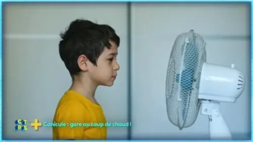 C'est toujours pas sorcier Canicule - gare au coup de chaud