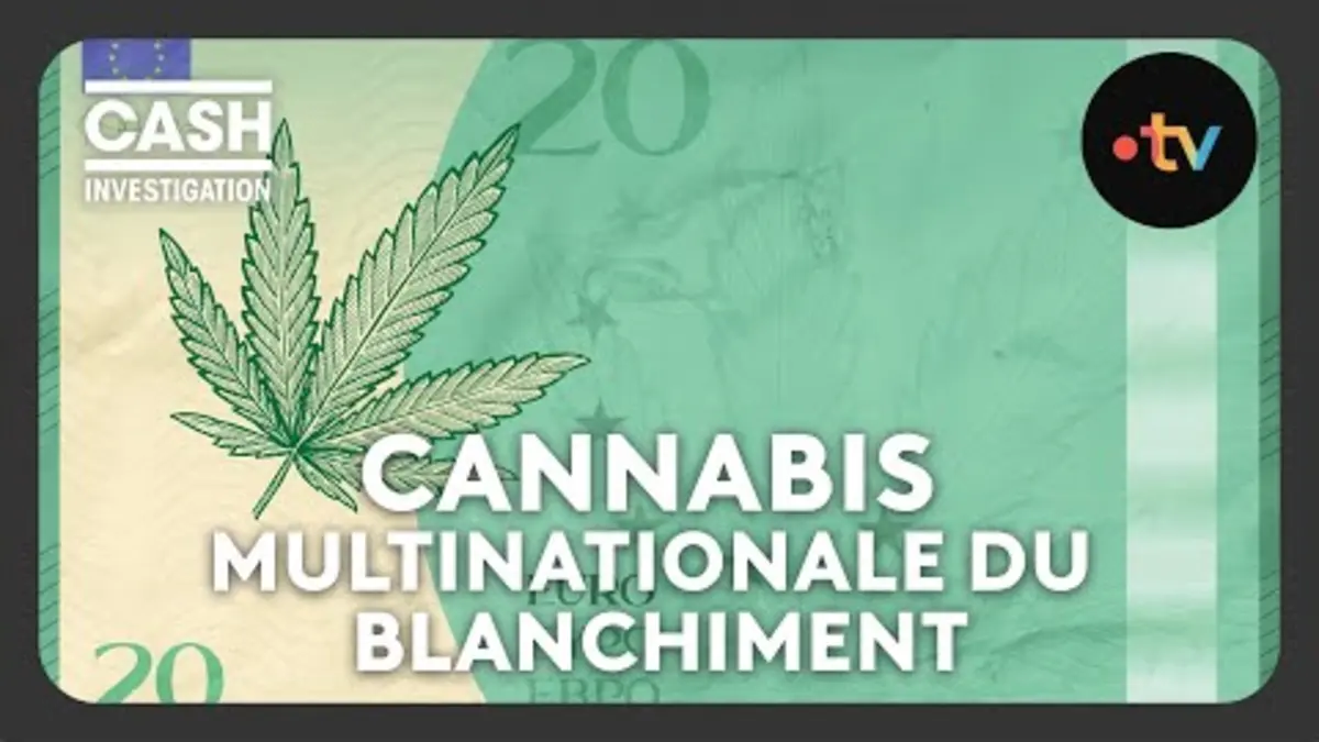 replay de Cannabis, la multinationale du blanchiment (intégrale) - Cash investigation