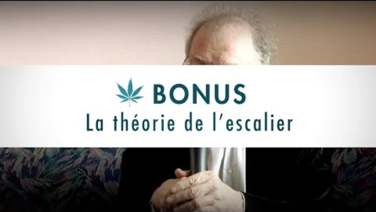 replay de Cannabis : la "théorie de l'escalier" - 28 minutes - ARTE