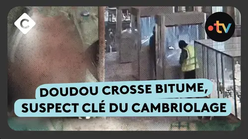 replay de Casse du Louvre : les profils des cambrioleurs