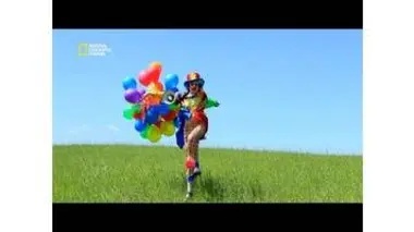 Ce clown va vous énerver, c'est sûr !